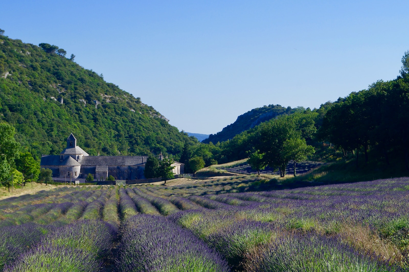 Travel Cuisine: Provence